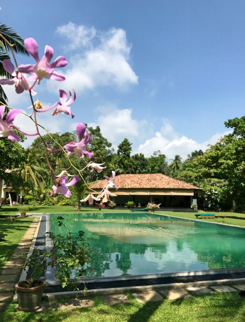 Yoga retreat in Sri Lanka