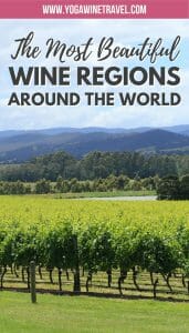 15+ Best Wine Regions In The World That Will Spark Your Wine-derlust ...