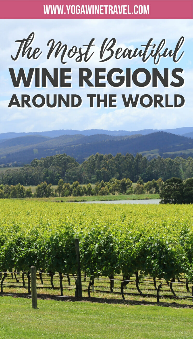 15+ Best Wine Regions in the World That Will Spark Your Wine-derlust