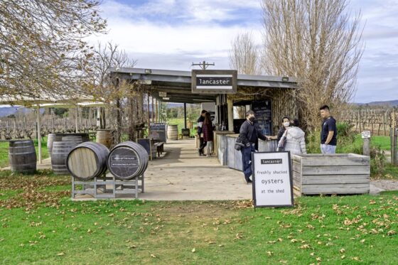 Swan Valley Wine Region in Western Australia: Perth to Swan Valley Day ...