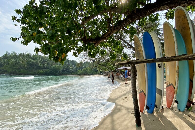 Surfboard rental at Hiriketiya beach in Sri Lanka